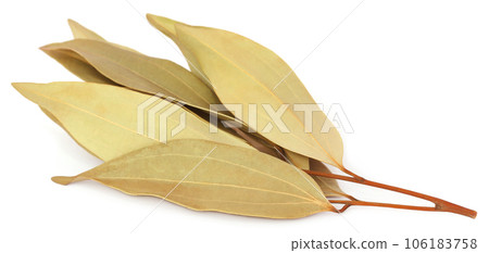 Cassia leaves Cassia leaves 106183758