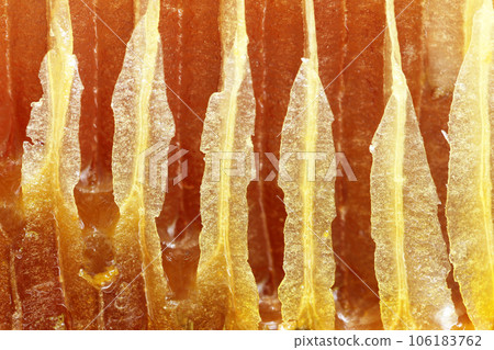 Hony comb background Hony comb background 106183762