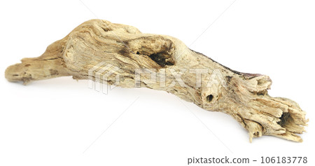 Bogwood 106183778