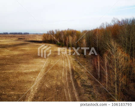 An aerial perspective reveals an agricultural field adjacent to a lush forest, forming a serene landscape. An aerial perspective reveals an agricultural field adjacent to a lush forest, forming a serene landscape. 106183793