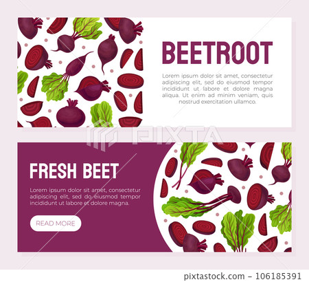 Beetroot Vegetable Crop Banner Design Design Vector Template Beetroot Vegetable Crop Banner Design Design Vector Template 106185391