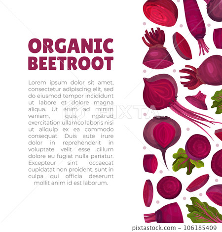 Beetroot Vegetable Crop Banner Design Design Vector Template Beetroot Vegetable Crop Banner Design Design Vector Template 106185409