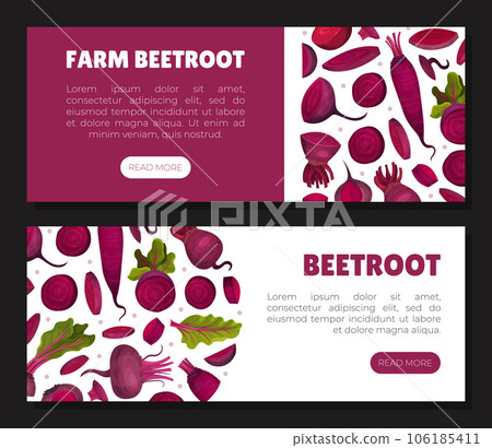Beetroot Vegetable Crop Banner Design Design Vector Template Beetroot Vegetable Crop Banner Design Design Vector Template 106185411