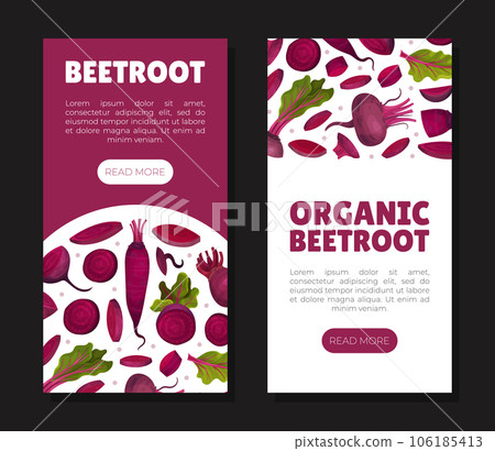 Beetroot Vegetable Crop Banner Design Design Vector Template Beetroot Vegetable Crop Banner Design Design Vector Template 106185413