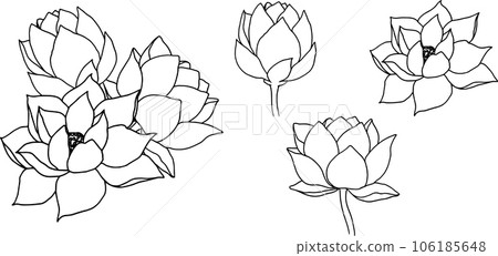 Composition with wind lotus flowers and buds. hand drawn black line art illustration. Outline floral drawing for for logo, tattoo, packaging design, compositions. Water Lily botanical vector design Composition with wind lotus flowers and buds. hand drawn black line art illustration. Outline floral drawing for for logo, tattoo, packaging design, compositions. Water Lily botanical vector design 106185648