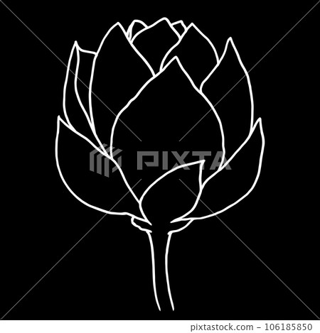 Vector hand drawn lotus flower black line art illustration. White Outline floral drawing for for logo, tattoo, packaging design, compositions. Water Lily botanical vector design 106185850