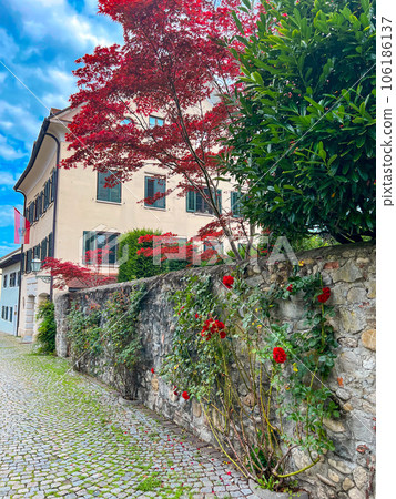 Cozy streets of Bregenz upper town - Oberstadt. High quality photo Cozy streets of Bregenz upper town - Oberstadt. High quality photo 106186137