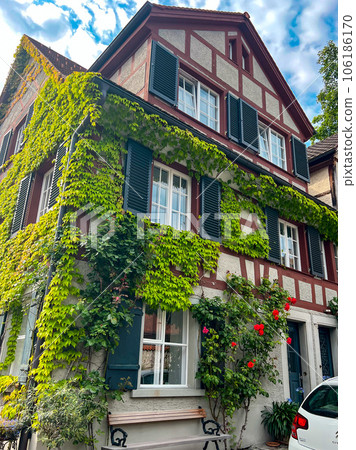 Cozy houses with climbing plants in Bregenz upper town - Oberstadt. High quality photo Cozy houses with climbing plants in Bregenz upper town - Oberstadt. High quality photo 106186170