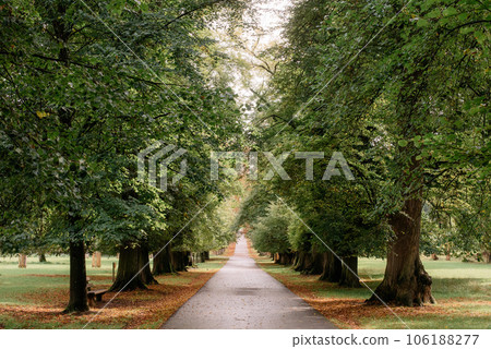 Calm Fall Season. Beautiful Landscape With Road In Autumn Forest. Maples And Birch Trees With Green, Yellow And Orange Leaves And Footpath In The Woodland In Sunny Day Calm Fall Season. Beautiful Landscape With Road In Autumn Forest. Maples And Birch Trees With Green, Yellow And Orange Leaves And Footpath In The Woodland In Sunny Day 106188277