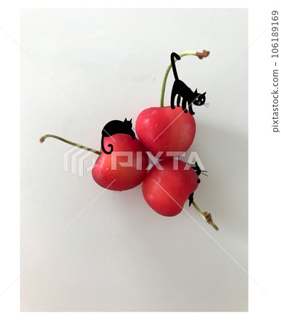 櫻桃圖片上畫的貓的插圖 櫻桃圖片上畫的貓的插圖 106189169