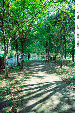 穿過樹林的路 穿過樹林的路 106189282