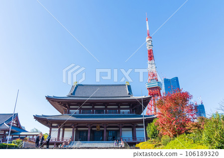 深秋的東京港區、增上寺(正殿)和東京塔的秋色 深秋的東京港區、增上寺(正殿)和東京塔的秋色 106189320