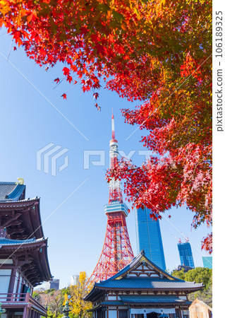 深秋的東京港區、秋天的增上寺和東京塔 深秋的東京港區、秋天的增上寺和東京塔 106189325