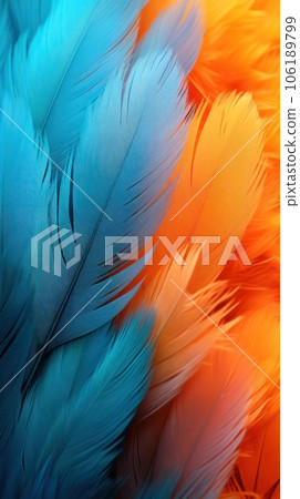 Texture background with feather surface of bright different colors  106189799