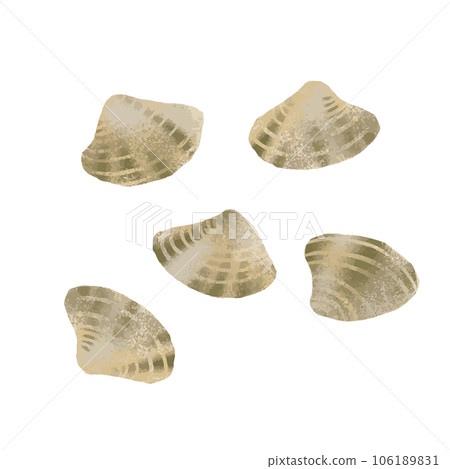 Watercolor illustration of clam 106189831