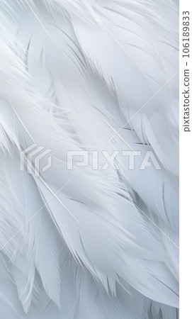 snow white feathers, feathers close up, background texture, abstract 106189833