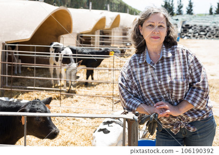 Mature female farmer posing at the cow farm 106190392