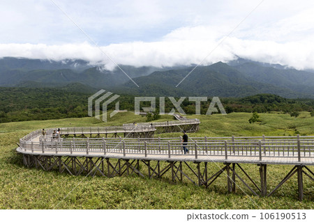 北海道2023知床五湖木路 北海道2023知床五湖木路 106190513