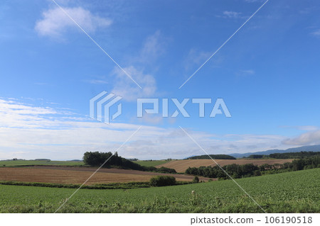 北海道2023年美瑛 106190518