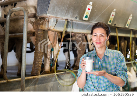 Satisfied asian milkmaid standing near milking line with glass of milk Satisfied asian milkmaid standing near milking line with glass of milk 106190559