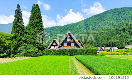Shirakawa-go (summer) Shirakawa-go (summer) 106191213