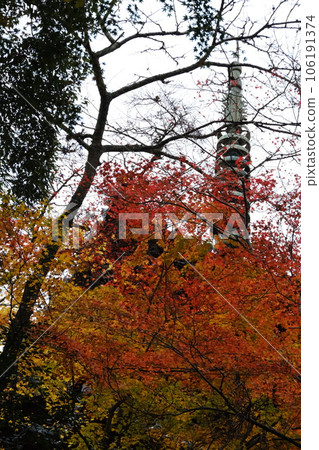 山樹染上紅黃秋色 106191374