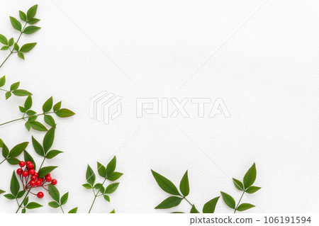 White Japanese paper with Nandina leaves and Manryo red fruit background 106191594