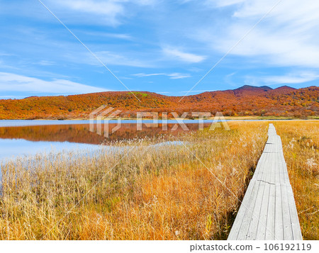 秋天的貓之岳和小郡沼徒步旅行（小郡沼濕地） 106192119