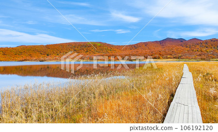 秋天的貓之岳和小郡沼徒步旅行（小郡沼濕地） 106192120