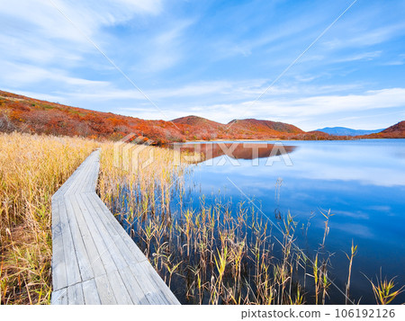 秋天的貓之岳和小郡沼徒步旅行（小郡沼濕地） 106192126