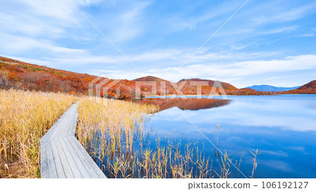 秋天的貓之岳和小郡沼徒步旅行（小郡沼濕地） 106192127