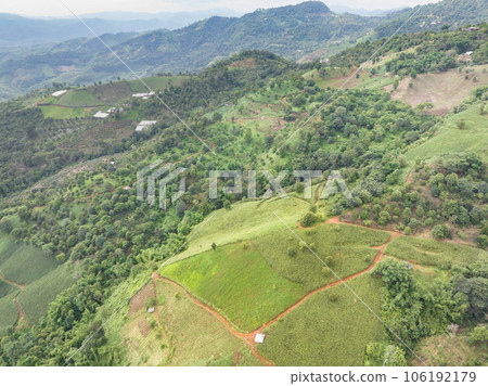 The biggest cause of forest loss is agricultural deforestation ,environmental damage in Southeast Asia , global warming and environment. The biggest cause of forest loss is agricultural deforestation ,environmental damage in Southeast Asia , global warming and environment. 106192179