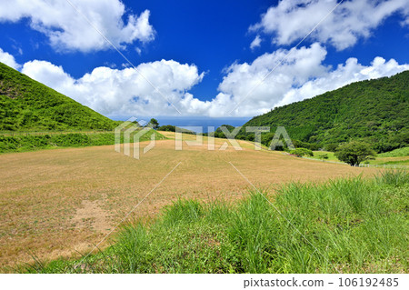 Grassland overlooking the sea (Tango-cho, Kyotango City, Kyoto Prefecture) Grassland overlooking the sea (Tango-cho, Kyotango City, Kyoto Prefecture) 106192485