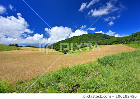 Grassland overlooking the sea (Tango-cho, Kyotango City, Kyoto Prefecture) 106192486