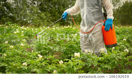 treatment of potato plants from pests 106192659