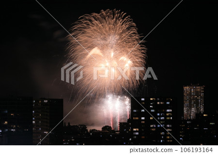 岡崎煙火大會-38 106193164