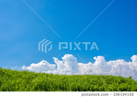 草原和清爽的藍天【風景/背景素材】 106194188