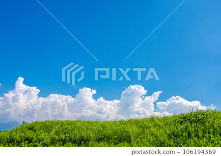 Grassland and refreshing blue sky/white clouds [Landscape/background material] 106194369