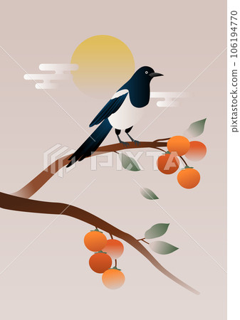 A magpie sitting on a persimmon tree branch. A magpie sitting on a persimmon tree branch. 106194770