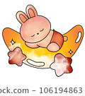 rabbit 106194863