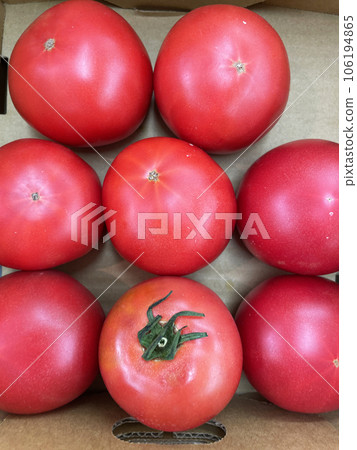 Tomatoes lined up in a supermarket 106194865