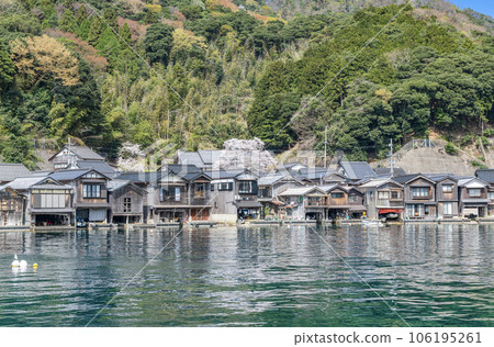 Ine-cho, Kyoto Prefecture, a popular tourist destination with a historic townscape, Ine-no-Funaya in spring when the cherry blossoms are in full bloom Ine-cho, Kyoto Prefecture, a popular tourist destination with a historic townscape, Ine-no-Funaya in spring when the cherry blossoms are in full bloom 106195261