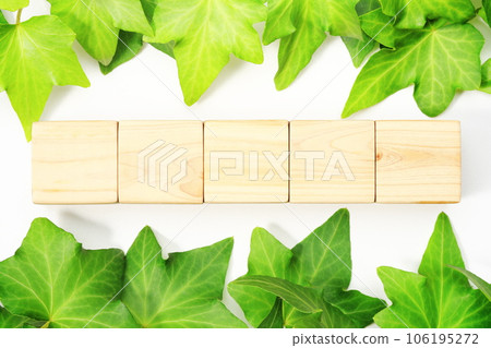 Wooden cubes and green leaves blank material for lettering 106195272
