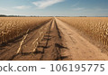 Drought in a Cornfield: Devastating Impact on Agriculture 106195775