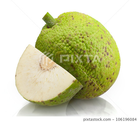 Breadfruit isolated cut out on white background 106196084