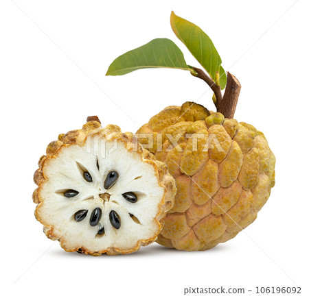 Annona or Custard apple isolated on white background 106196092