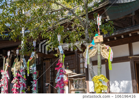 Zori bamboo wrapped with a wish cloth for the foot festival (Asuke Hachimangu Shrine, Asuke Town, Toyota City, Aichi Prefecture) Zori bamboo wrapped with a wish cloth for the foot festival (Asuke Hachimangu Shrine, Asuke Town, Toyota City, Aichi Prefecture) 106196416