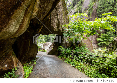 施mon 施mon 106196549