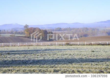 秋日晨霧中的美瑛 106197098