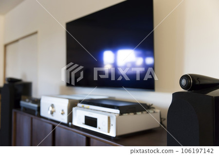 Discerning audio set placed in the living room 106197142